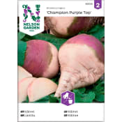 Kålrot Champion Purple Top 1-p Nelson Garden.