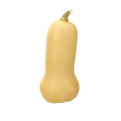 Pumpa Butternut 1-pack Klass 1 ICA.