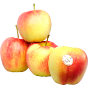 Äpple Saga 4-pack Klass 2 ICA.