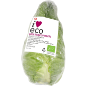 Spetskål Eko 1 pack ca 500g Klass 1 ICA.