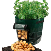 Odlingsbag Potatis Zeline.