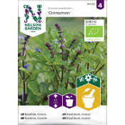 Basilika, Kanel- Cinnamon, Organic Nelson Garden.