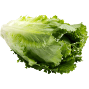 Sallad Cosmopolitan Klass 1.