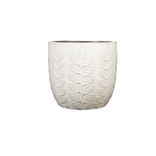 Kruka lövranka 18cm.
