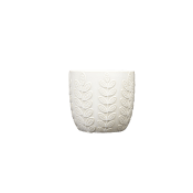 Kruka lövranka 14cm.