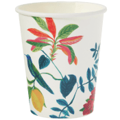 Mugg Capri 25cl 12-p ICA.
