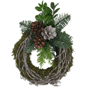 Mosskrans bark.