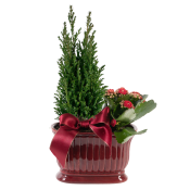 Arrangemang Jul.