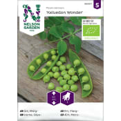 Ärt Märg-Kelwedon Wonder Org. Nelson Garden.