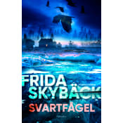 Svartfågel.