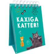 Kaxiga katter.