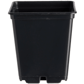 Plastkruka 7x7cm 25p.