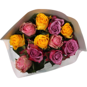 Rosor 12-p 50cm Fairtrade blandade färger i buketten ICA.