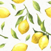 Servetter Mönstrade Citrus 20st Duni.