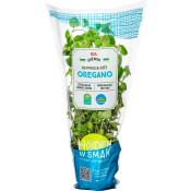 Oregano vertikalodlad 1-p Klass 1 ICA.