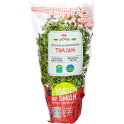 Timjan vertikalodlad Klass 1 ICA.
