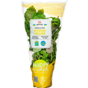 Citronmeliss vertikalodlad 1-p Klass 1 ICA.