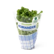 Koriander Ekologisk 1-p Kabbarps Trädgård.