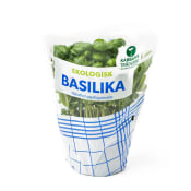 Basilika Ekologisk 1-p Kabbarps Trädgård.