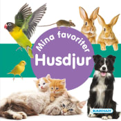 Mina favoriter Husdjur.