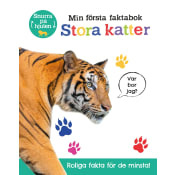 Min första faktabok : stora katter.