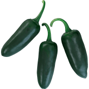 Mörk Jalapeno ca 25g Klass 1.