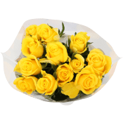Rosor 12-p 50cm Fairtrade gula ICA.
