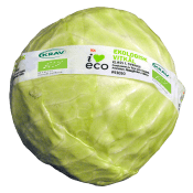 Vitkål färsk Eko 1-pack Klass 1 ICA I love eco.