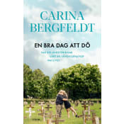En bra dag att dö : vad 276 avrättningar lärt en fängelsepastor om livet.