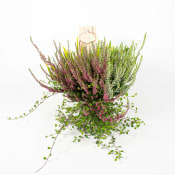 Heide mix.
