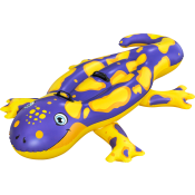 Salamander 191x119cm Bestway.