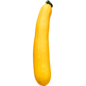 Zucchini Gul ca 360g Klass 1.