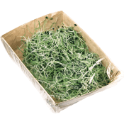 Vitlöksgroddar 50g Klass 1.
