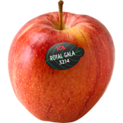 Äpple Royal Gala ca 220g Klass 1 ICA.