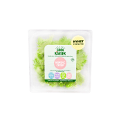 Nordic Crisp Blad Gröna 50g Klass 1.