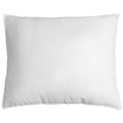 Kudde 50x60 cm Borganäs.