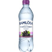 Vatten Kolsyrat Svarta Vinbär 50cl Ramlösa.