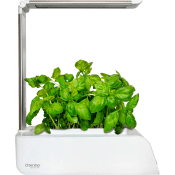 TERMO Smart Garden.