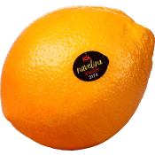 Apelsin Navel ca 310g Klass 1 ICA.