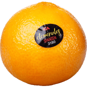 Clementin ca 130g Klass 1 ICA.