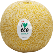 Galiamelon Ekologisk ICA ca 850g.