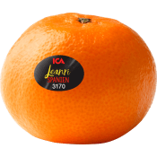 Clementin Leanri 4-pack Klass 1 ICA.