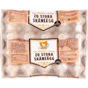 Skåneägg Frigående inne L 20-p Stjärnägg.