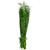 Dill knippe ca 50g Klass 1 ICA.