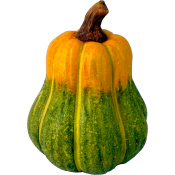 Pumpa 11,5 x 14 cm grön terracotta Festive.