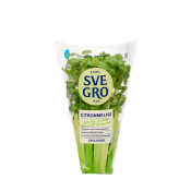 Citronmeliss i kruka Ekologisk 1-p KRAV Svegro.