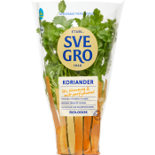 Koriander i kruka Ekologisk 1-p KRAV Svegro.