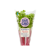 Bladpersilja i kruka Ekologisk 1-p KRAV Svegro.