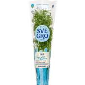 Dill i kruka Ekologisk 1-p KRAV Svegro.
