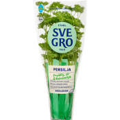 Persilja i kruka Ekologisk 1-p KRAV Svegro.